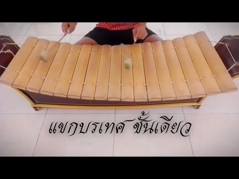 แขกบรเทศ ชั้นเดียว ทางระนาดทุ้ม