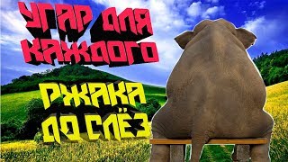ПРИКОЛЫ 2018. Ржачь до слёз. Угарные приколы. Приколы с животными.Фейлы.Ржака до слёз.Лучшие приколы ПРИКОЛЫ 2018. Ржачь до слёз. Угарные приколы. Приколы с животными.Фейлы.Ржака до слёз.Лучшие приколы