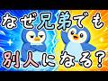 なぜ兄弟は同じ親から生まれても性格が違うのか?【小学生でもわかる・ざっくり解説】