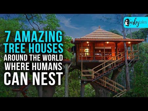 7 Amazing Tree Houses Around The World To Make Your Abode  | Curly Tales