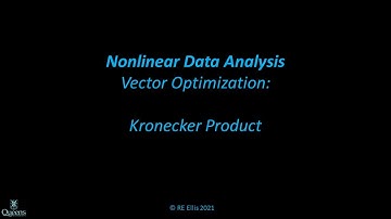 NonlinearData11dKroneckerProduct