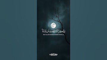 إِنَّكَ لَا تَهْدِي مَنْ أَحْبَبْتَ وَلَكِنَّ اللَّهَ يَهْدِي مَنْ يَشَاءُ  | سورة القصص