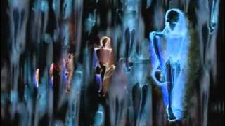 Evil Wings - Black Rain