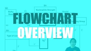 Overview of the flowchart