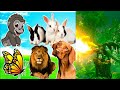 Beautiful Animals Sounds &amp; video/ learn Family Animals - elephant,cat dog,dick, dragon, dinosaur,