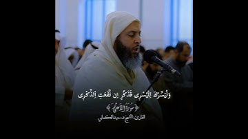 تلاوة تهز القلوب بصوت الشيخ سعيد الكملي | خشوع يبكي الحجر 💔📿