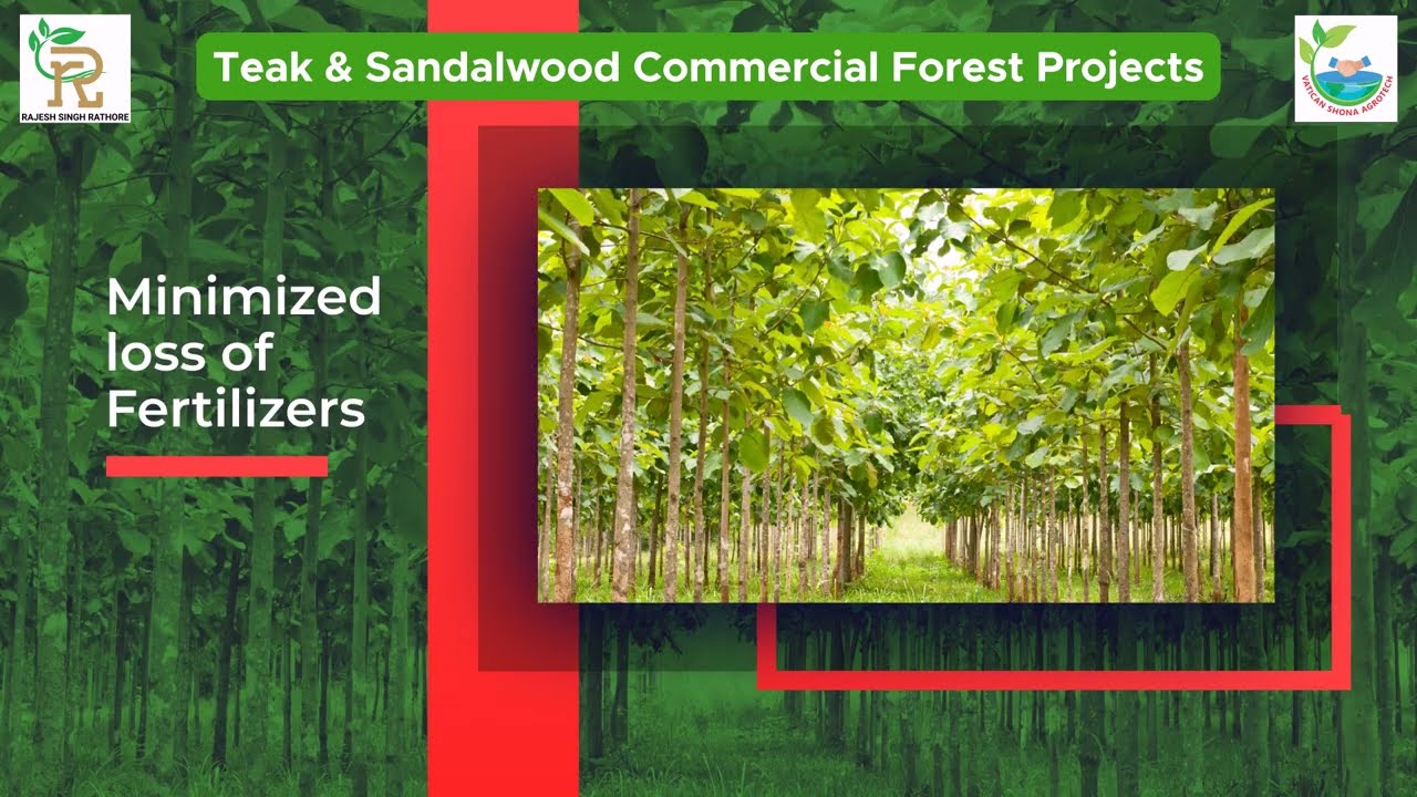 Importance of Drip Irrigation in Teak & Sandalwood Commercial Forest