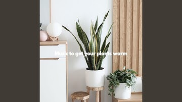 Pulsating Ambience for Brave Keynotes