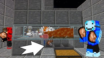 NEW 2021 AUTO CHICKEN FARM IN JAVA 1.16+ MINECRAFT