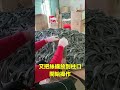 這是絲襪嗎 自說自話的總裁 這是絲襪嗎 自說自話的總裁
