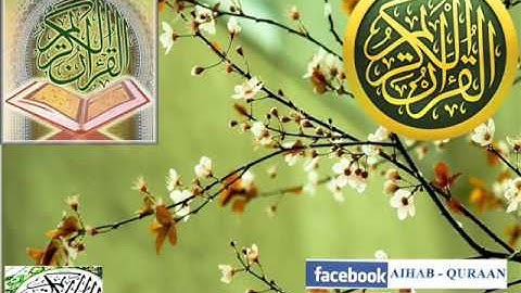 099 - سورة الزلزلة - ناصر القطامي