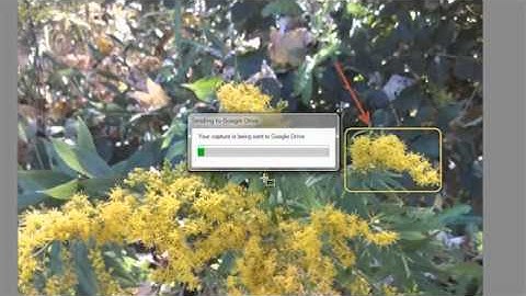 Techsmith Snagit 11.3.0