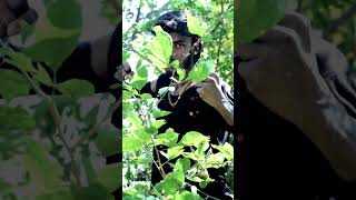 Ganapath Dussehra 2023 Amitabh B, Tiger S, Kriti S Vikas B, Jackky B 20Th Oct 23