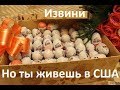 5 вещей, которых нет в США