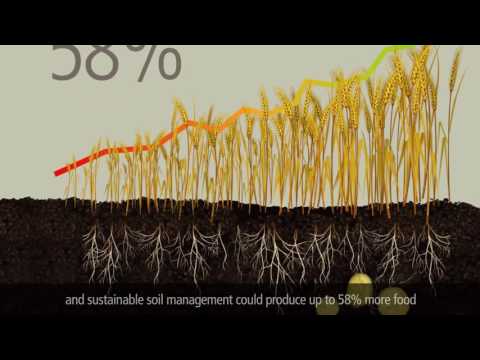 Video: Z čeho se skládá zdravá půda?