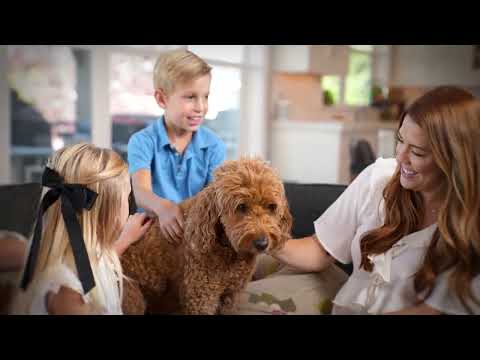 Nurx Login: Your Pathway To Wellness
