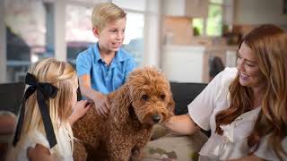 You Deserve to Know: The Smarter Way to Track Your Family’s Wellness