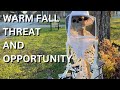 Warm Fall, threat and opportunity