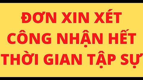 Mẫu đánh giá viên chức hết thời gian tập sự năm 2024