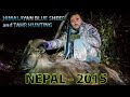 Himalayan Blue Sheep and Tahr HUNTING in NEPAL