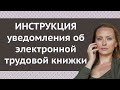 Пошаговая инструкция уведомления об электронной трудовой книжке