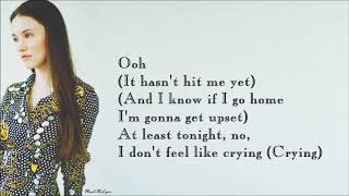 Sigrid - Don’t Feel Like Crying [Lyrics]