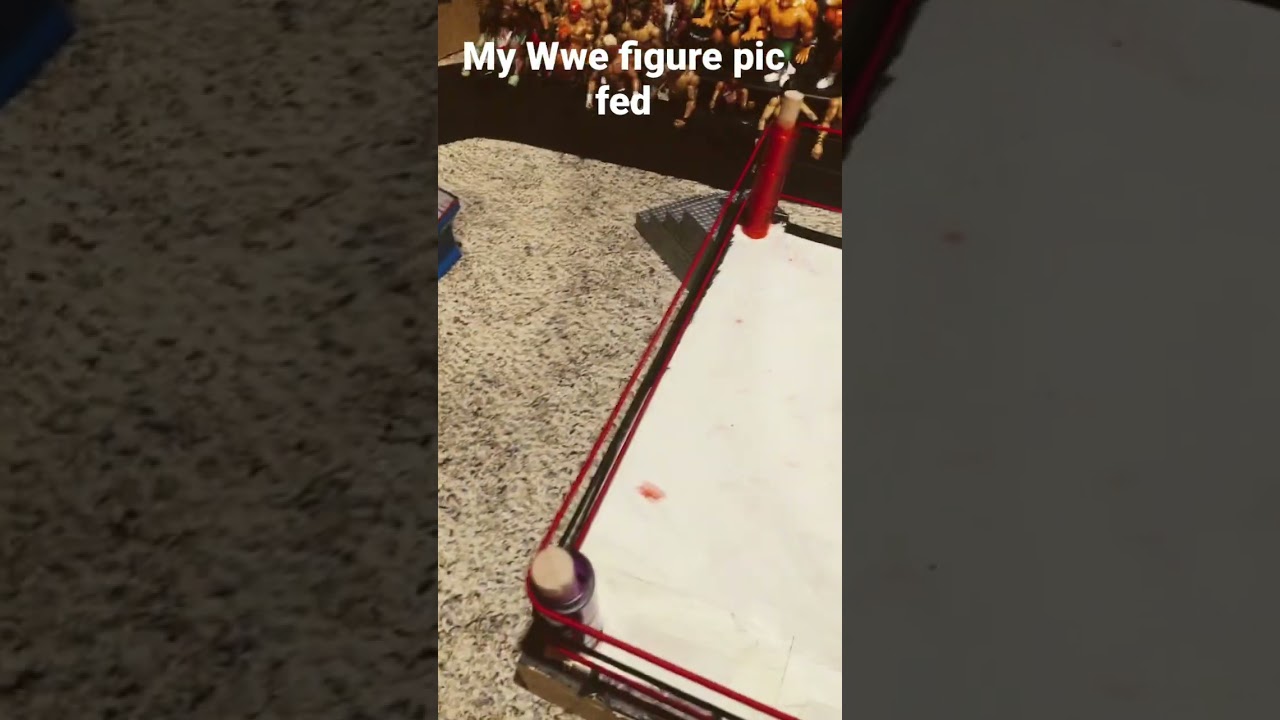 Welcome to WHE Robby Wwe figure pic fed