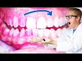 Dentist reveals the best oral hygiene routine for dental care properly brush floss  clean teeth