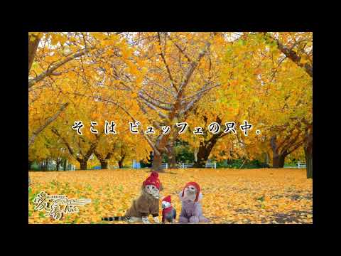 2022年 愛音 師走のお便り