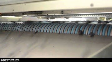 Blueberry sorting machine Primus - TOMRA Sorting
