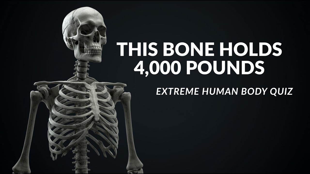 This Bone Holds 4,000 Pounds — Extreme Human Body Quiz
