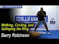 Walking circling and galloping the ring by barry robinson