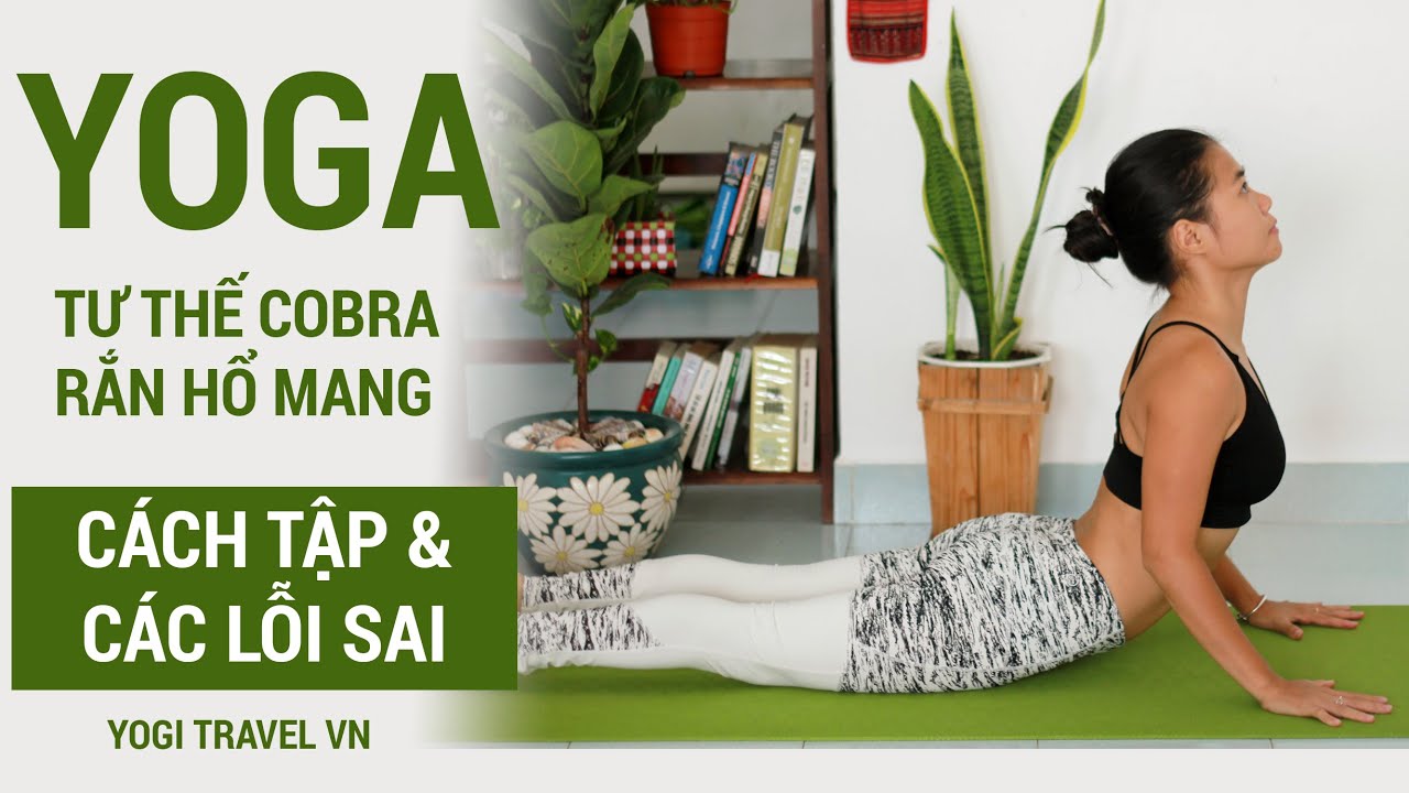 Cần tránh LỖI SAI KHI TẬP YOGA - Động tác yoga COBRA - rắn hổ mang ...
