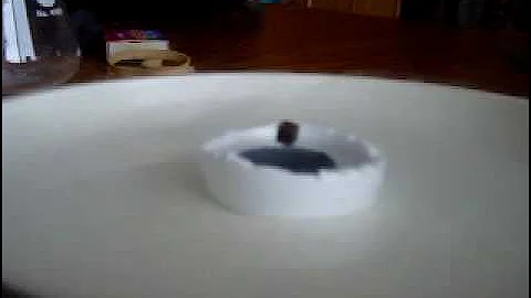 Liquid Nitrogen superconductor levitates rare earth magnet