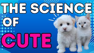 The Science of Cute