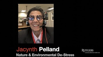 Nature & Environmental De-Stress: 90 Seconds of Resiliency