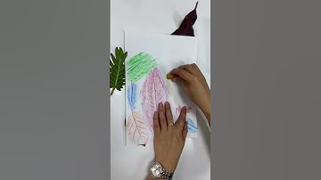 Leaf Rubbing | Activity for Kids