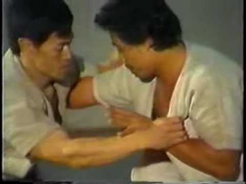 Chang Dong Sheng,the Iron Butterfly