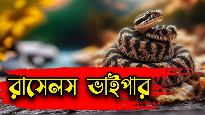 রাসেলস ভাইপার নিয়ে সঠিক তথ্য জানুন  🐍 Russells Viper sap #snake