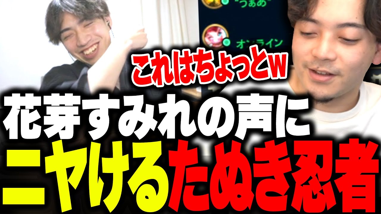【飲酒雑談】花芽すみれの声にニヤけるたぬき忍者を見るボドカwww