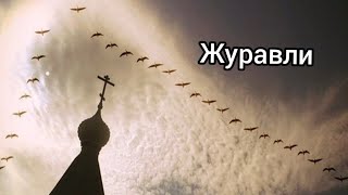 Автор : Расул Гамзатов  - 