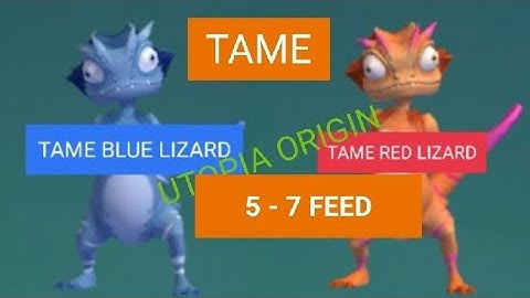 UTOPIA ORIGIN: TAME BLUE AND RED LIZARD #utopiaorigin #taminganimals #pet #pets #trending