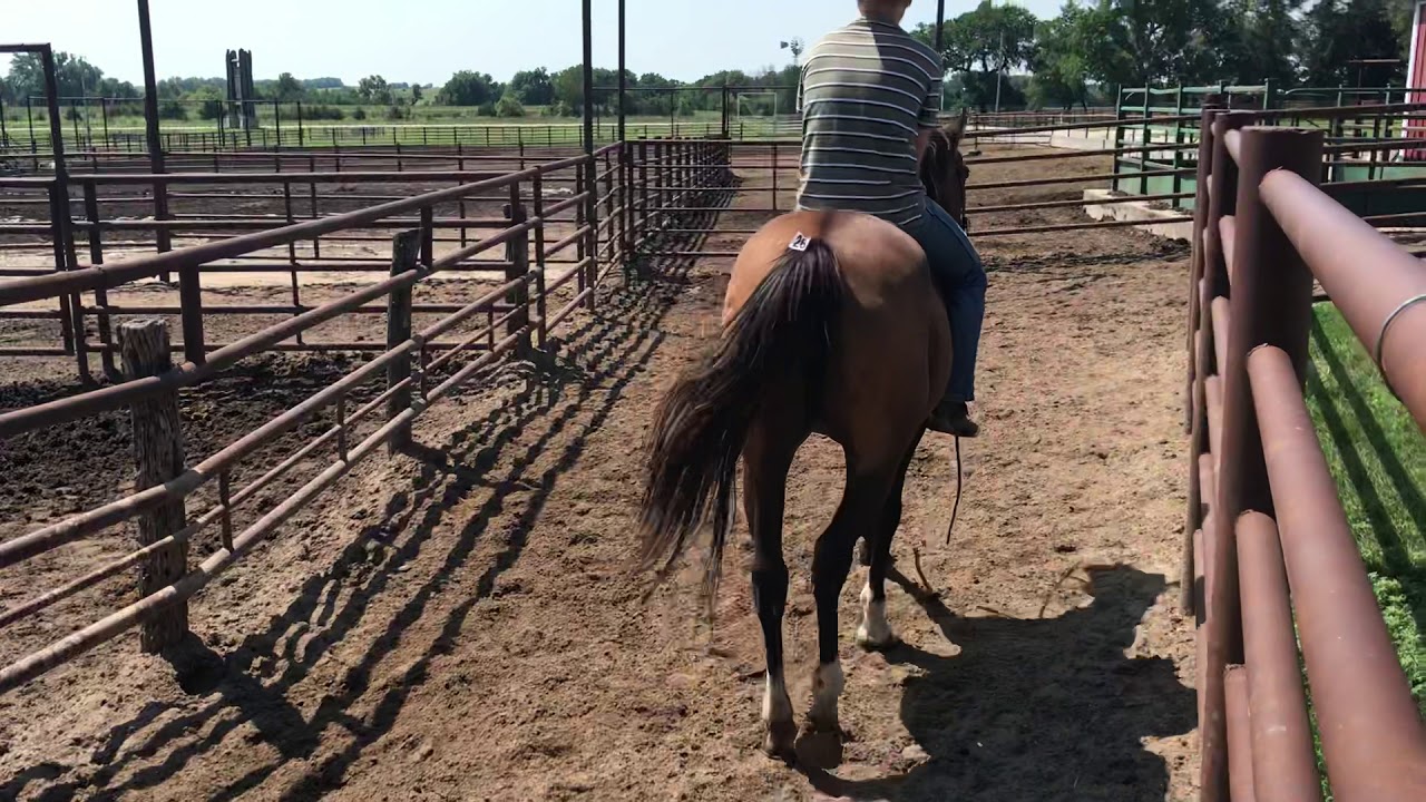 Kansas kill pen YouTube