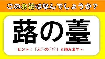 花の難読漢字クイズ 読みにくい花の名前を一問一答形式で出題 難問問 Mp3