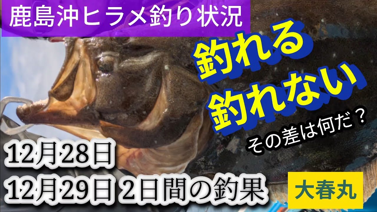 Flounder fishing conditions December 28th/29th What on earth is