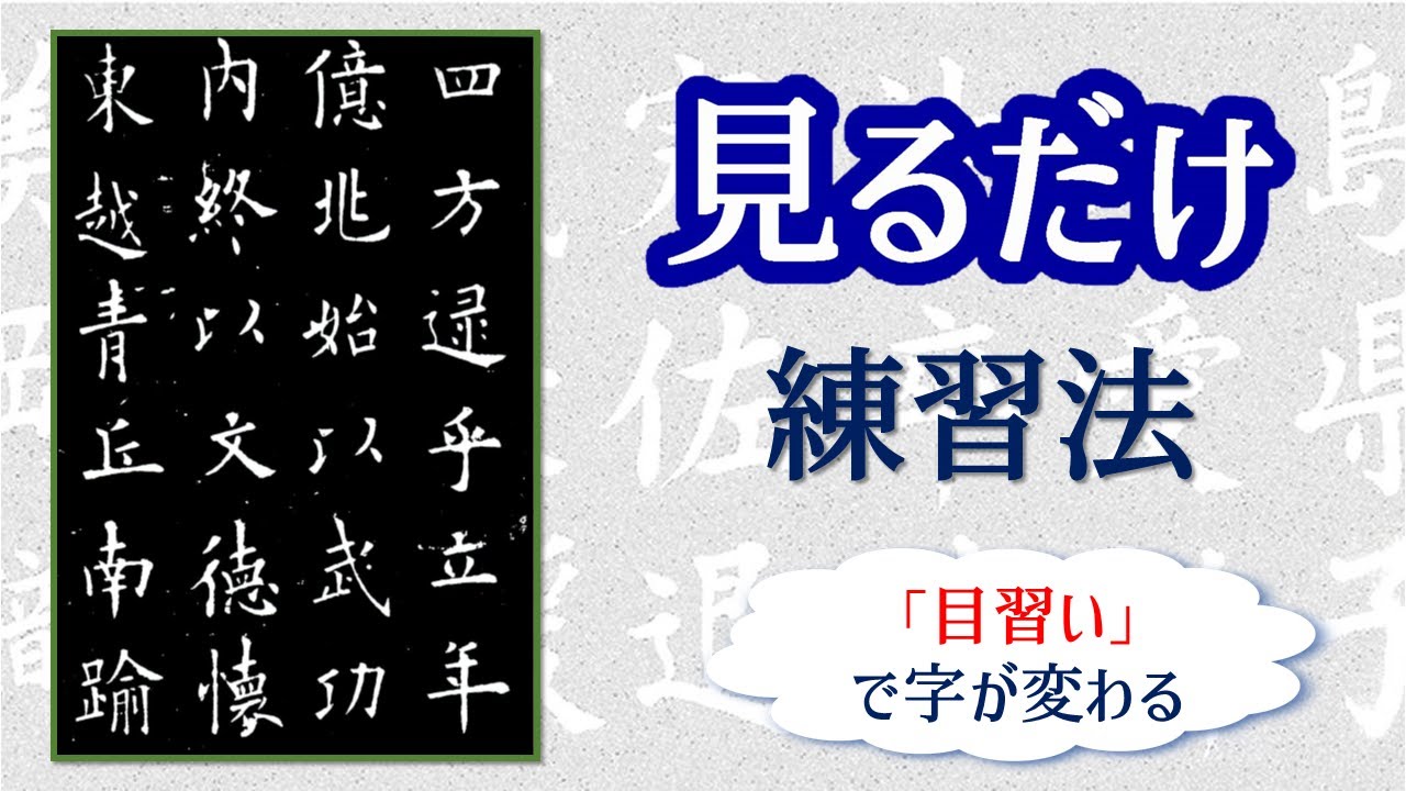 How to improve your Calligraphy by Just looking. Seido Calligraphy