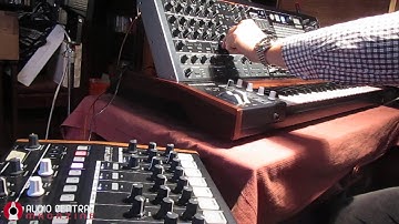 Arturia MatrixBrute Analog Flanger