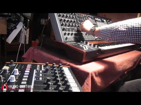 Arturia MatrixBrute Analog Flanger