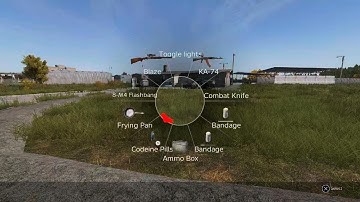 DayZ Official a skill issue on me