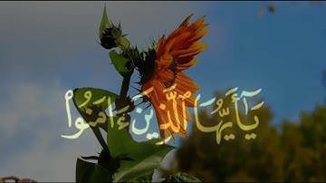 سوره الاحزاب فضيله الشيخ عبدالعزيز الزهراني